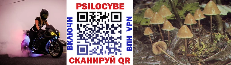 Псилоцибиновые грибы ЛСД Киреевск